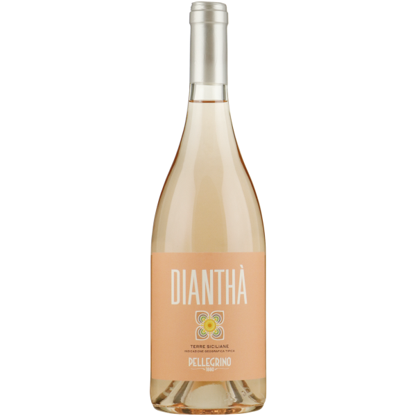 Pellegrino Diantha rose